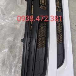 CA LĂNG MK712021